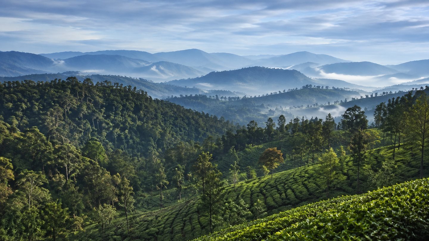 Wayanad